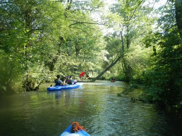 Zdjęcie Spływ kajakowy Sosnowiec - najlepsze trasy i wynajem kajaków