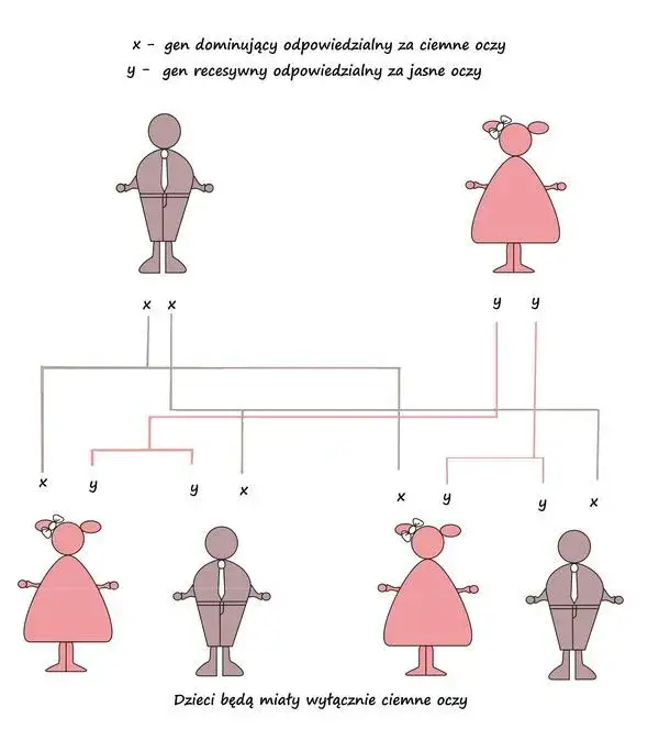 Zdjęcie Po kim dziedziczymy urodę? Zaskakujące fakty o genach i wyglądzie