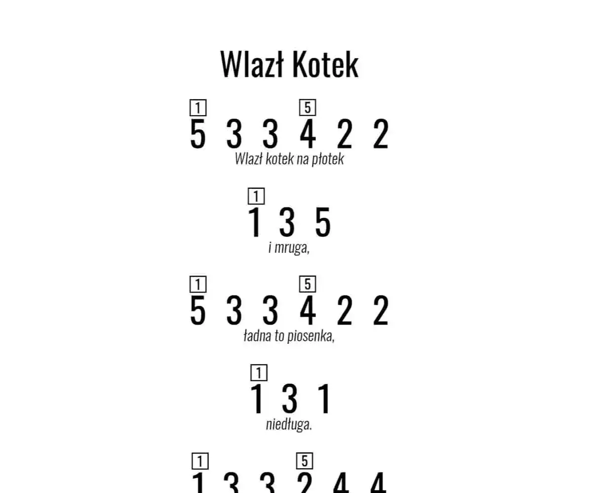 Zdjęcie Jak zagrać na flecie wlazł kotek na płotek – proste nuty i techniki