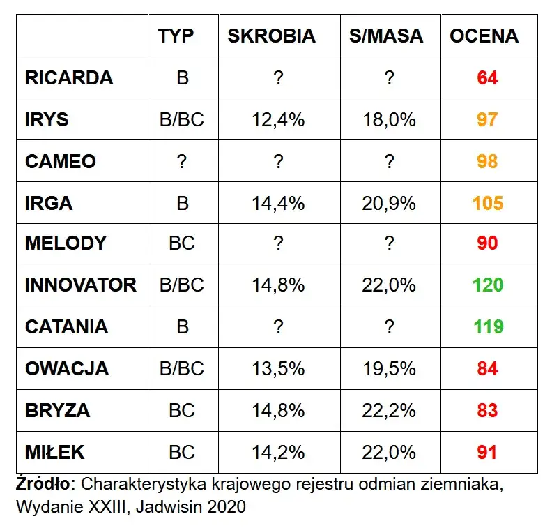 Zdjęcie Jakie ziemniaki na frytki Lidl? Wybierz najlepsze odmiany do frytów