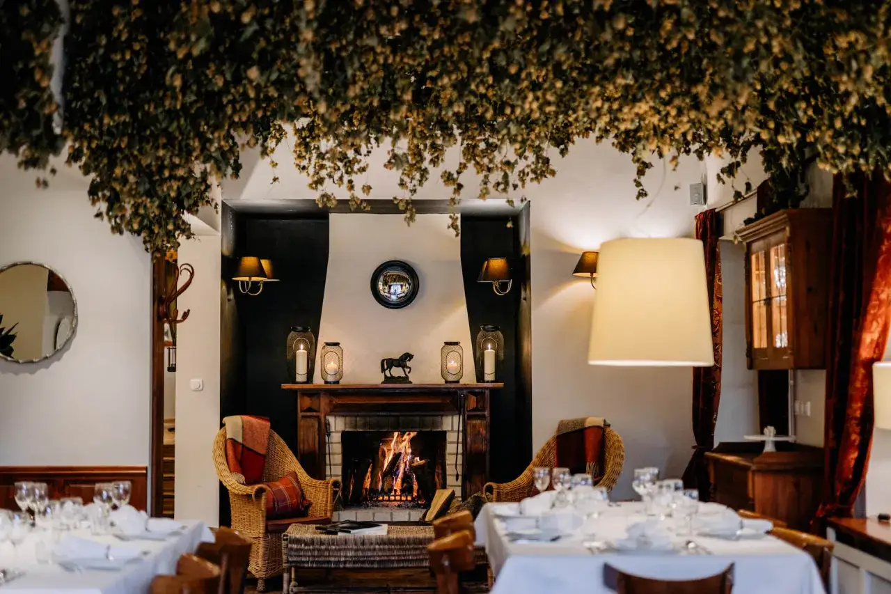 Zdjęcie Gdzie zjeść w Nałęczowie? Odkryj najlepsze restauracje i smaki