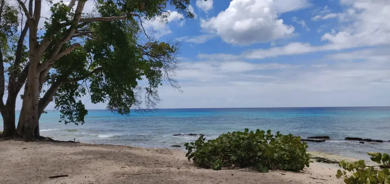 Zdjęcie Karaiby jakie wyspy: odkryj ukryte skarby rajskich wysp