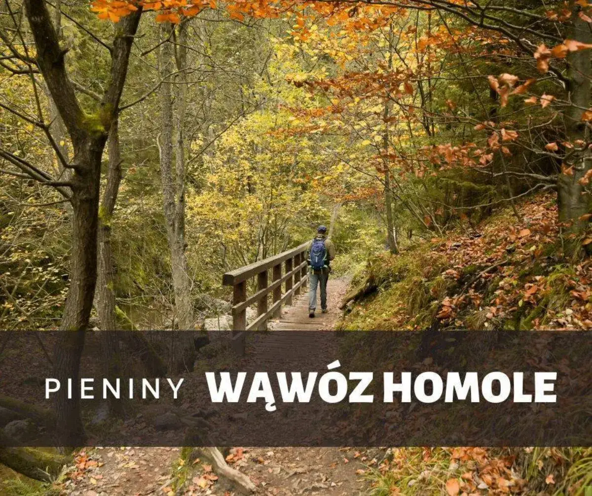 Zdjęcie Rezerwat przyrody Wąwóz Homole – nieprzewidywalne piękno Pienin