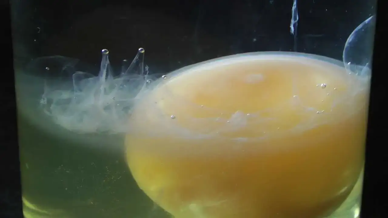 Zdjęcie Oczyszczanie jajkiem czy to grzech? Zrozum moralne konsekwencje