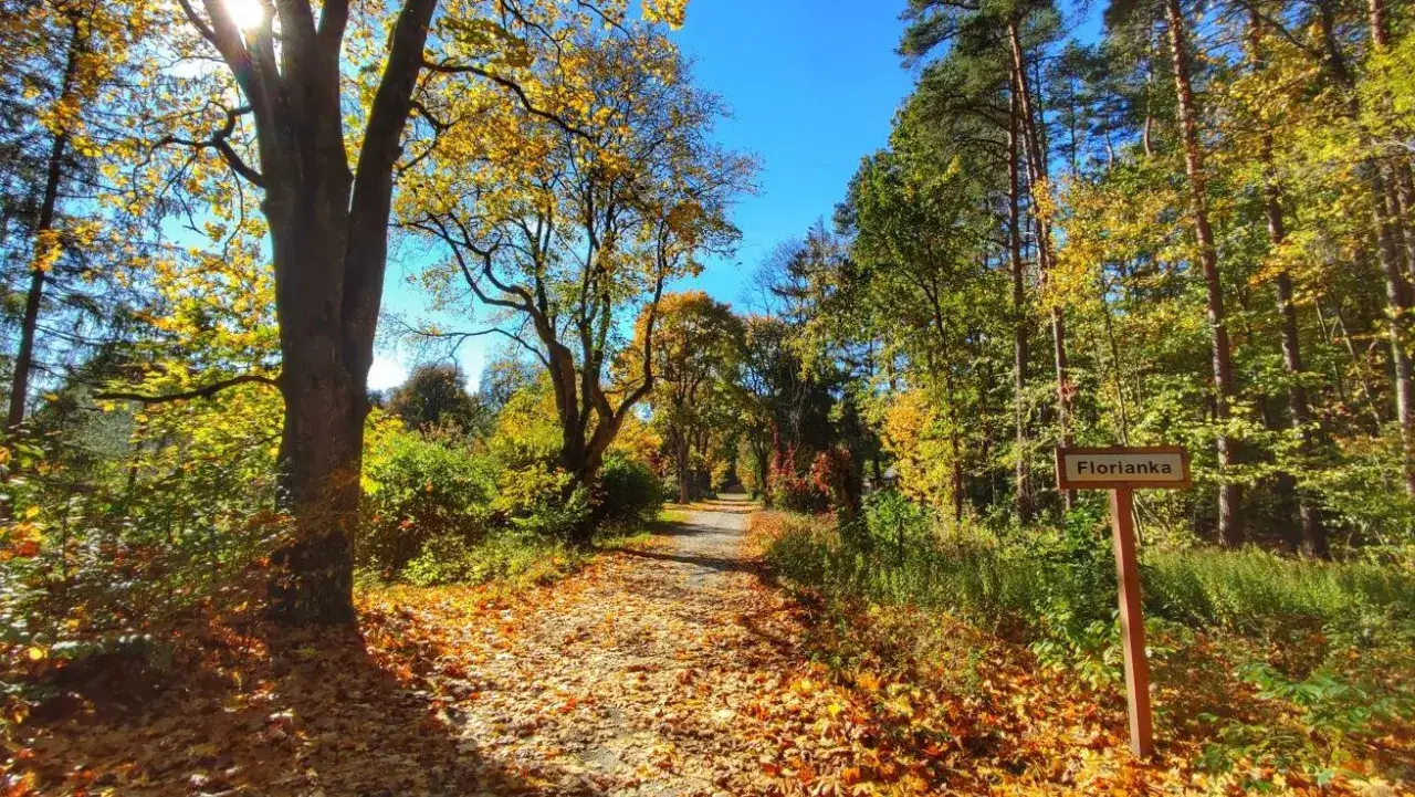 Zdjęcie Najlepsze trasy rowerowe w Zwierzyńcu - odkryj ukryte piękno natury