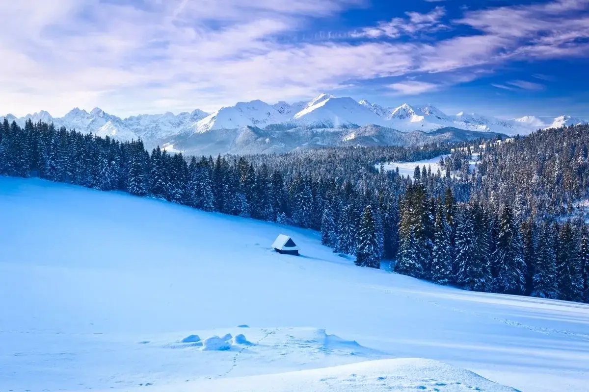 Zdjęcie Kulig w Bukowinie Tatrzańskiej – niezapomniane zimowe przeżycie