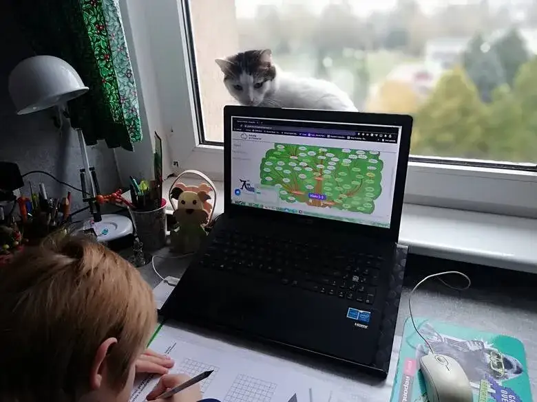 Zdjęcie Czy w szkole w chmurze jest WF? Jak wyglądają zajęcia online i czy są obowiązkowe