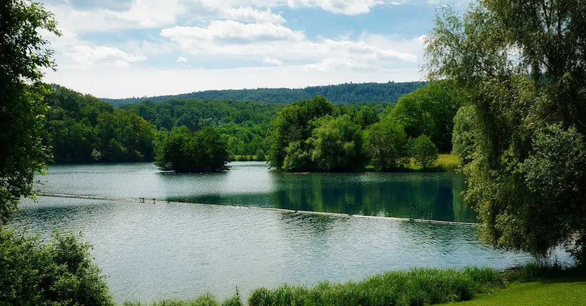 Zdjęcie Kaszuby rowerem? Oto aż 7 tras o widokach, które zapierają dech