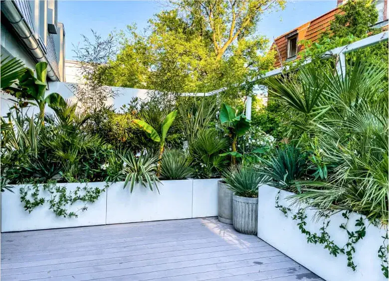 Zdjęcie Jakie rośliny na taras? Idealne propozycje dla pięknej przestrzeni