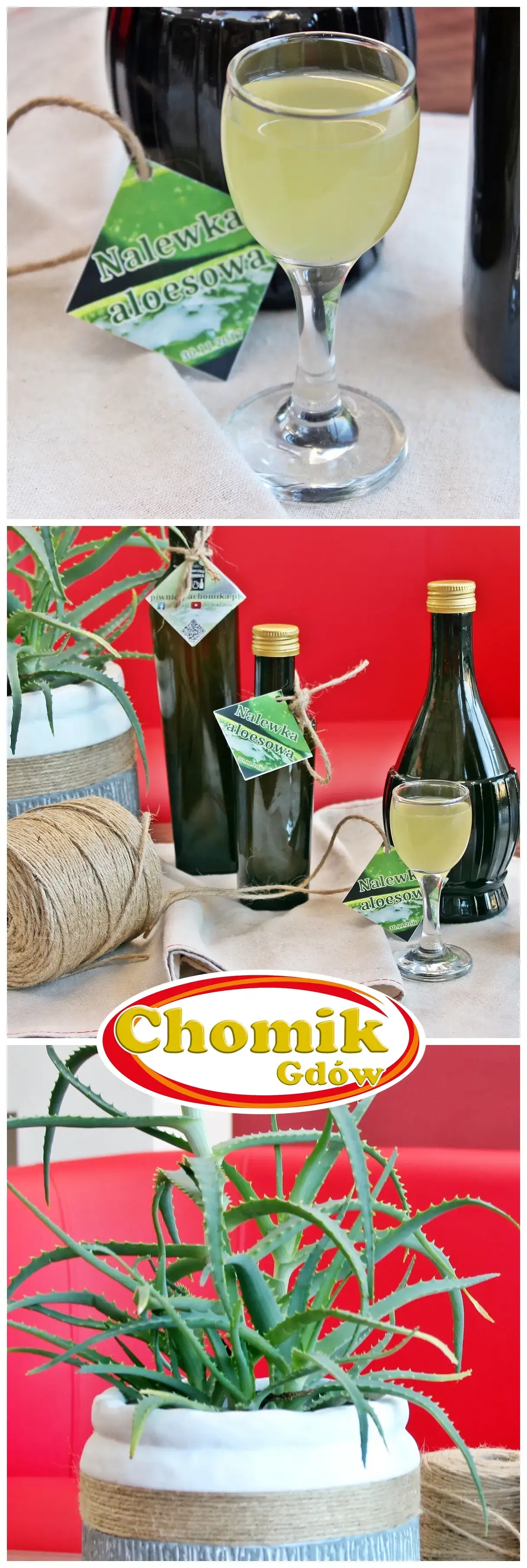 Zdjęcie Nalewka z aloesu na co pomaga - poznaj jej zdrowotne właściwości