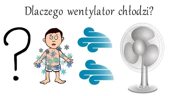 Zdjęcie Jak działa wentylator? Poznaj sekrety chłodzenia i cyrkulacji