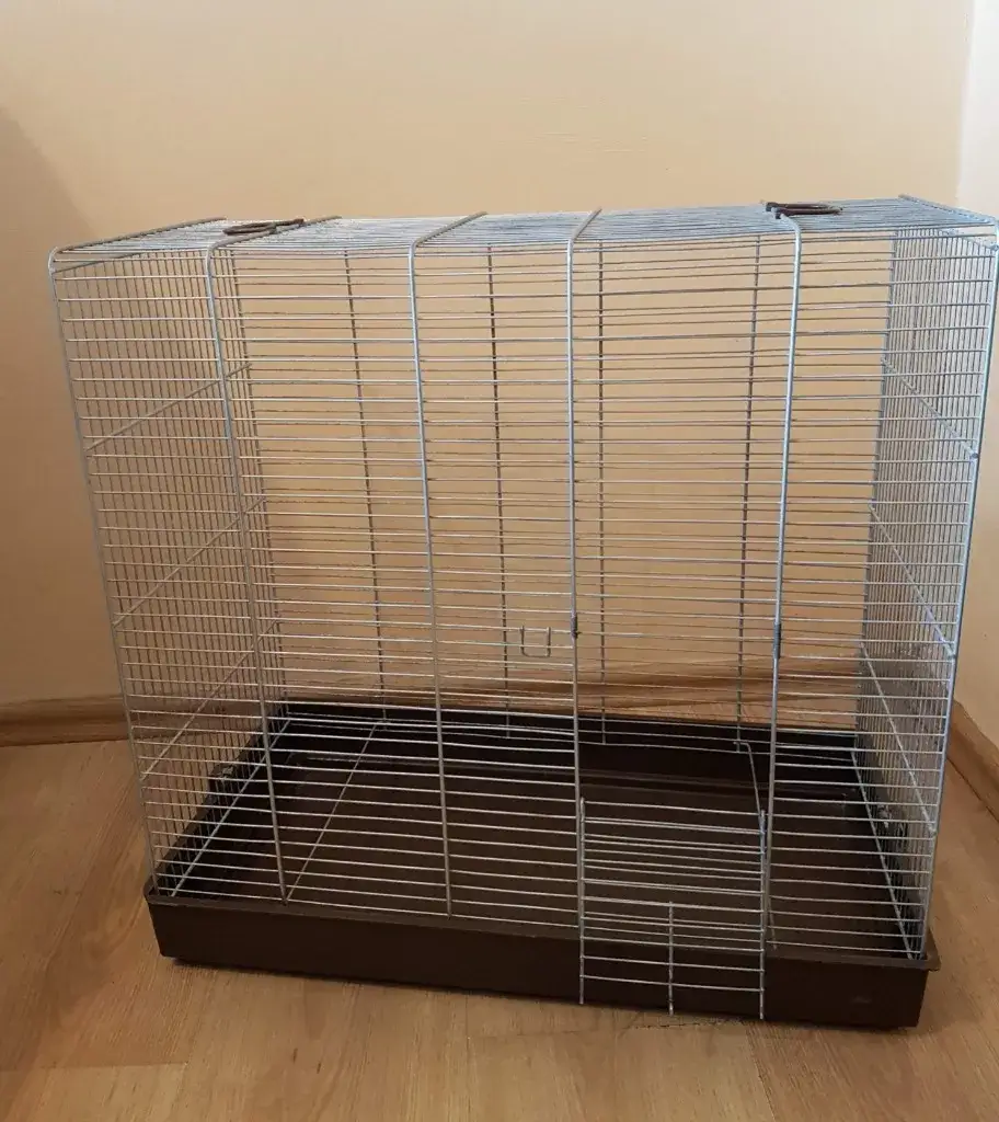 Zdjęcie Ile kosztuje klatka dla kanarka? Ceny i porównanie modeli