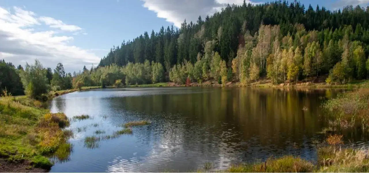 Zdjęcie Sprzedam dom nad jeziorem z linią brzegową w Małopolsce – uniknij rozczarowania