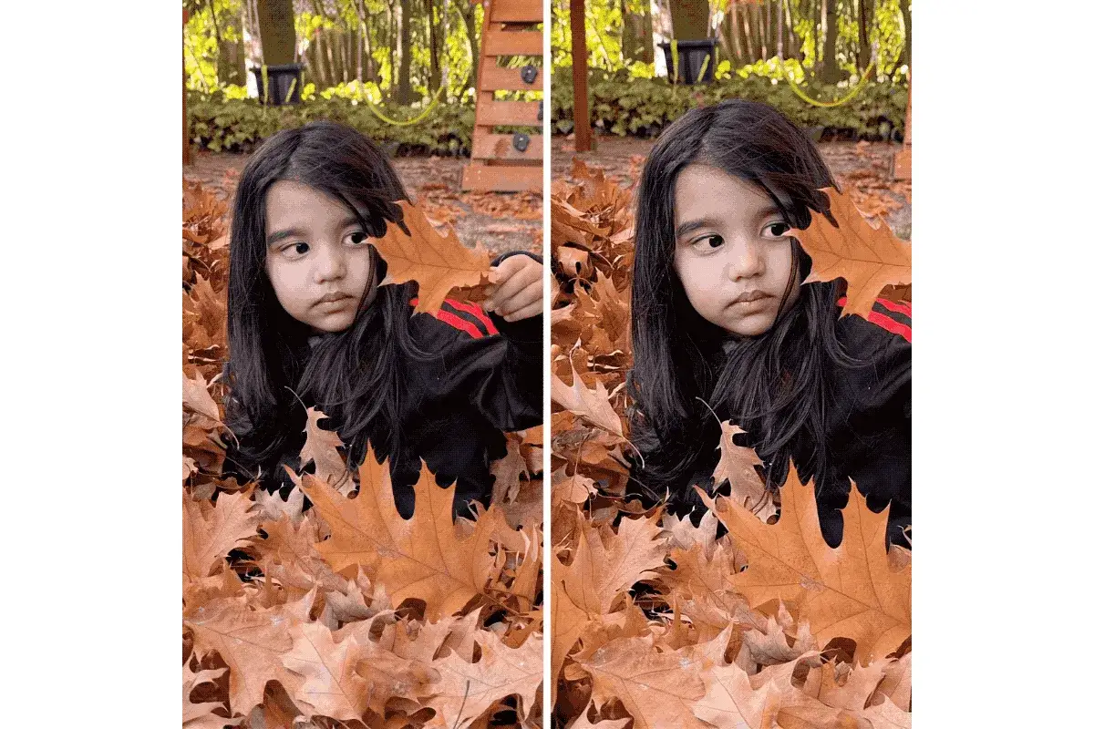 Zdjęcie Aplikacja co ożywia zdjęcia – ożyw swoje wspomnienia w kilka chwil