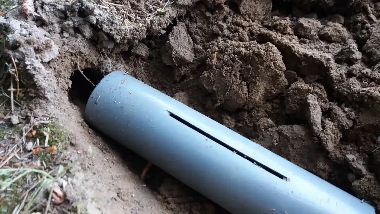 Zdjęcie Jak złapać kreta łopatą - skuteczne metody i pułapki, które działają