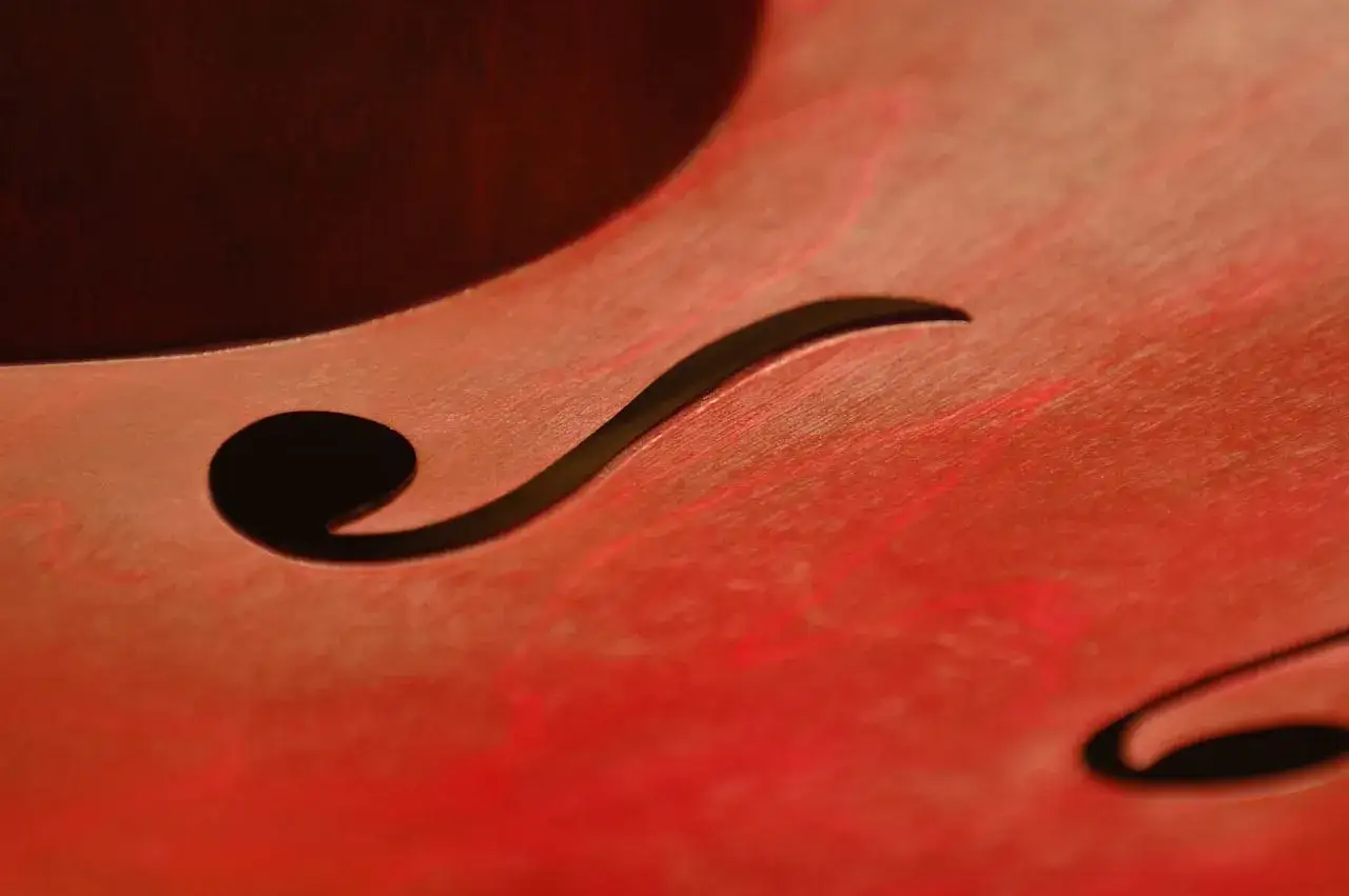 Zdjęcie Gitara i skrzypce jako instrumenty muzyczne - różnice i charakterystyka
