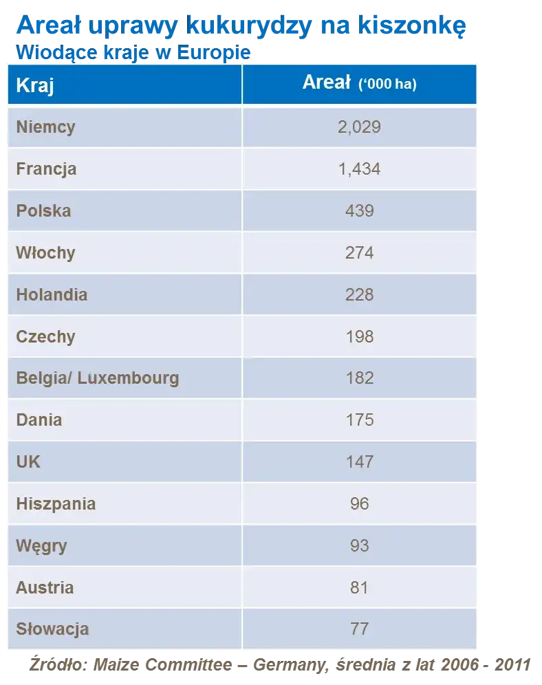 Zdjęcie Kukurydza gdzie jest uprawiana? Odkryj kluczowe obszary i warunki