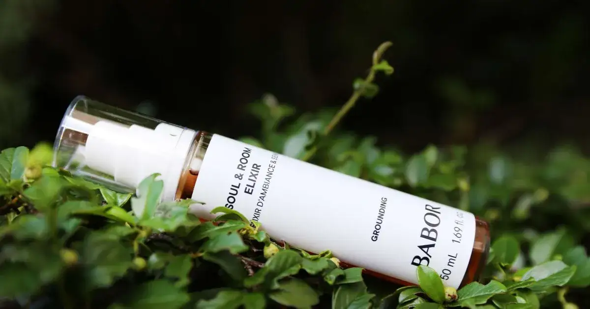 Zdjęcie Najlepsze spa dla dwojga w Toruniu – romantyczne chwile relaksu