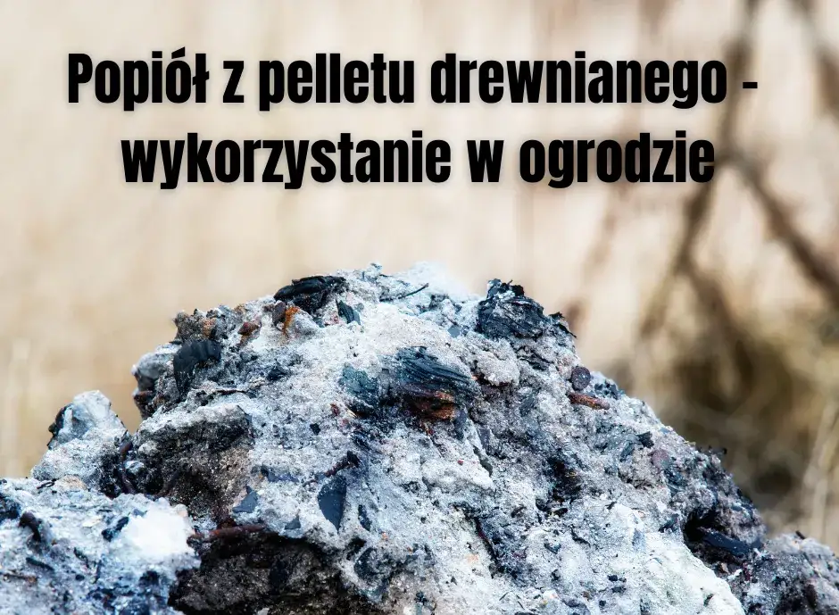 Zdjęcie Jak powinien wyglądać popiół z pelletu i co zdradza o jego jakości