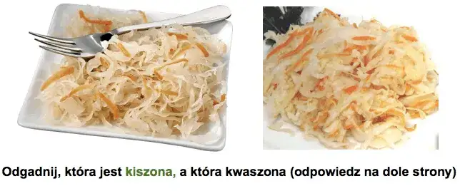 Zdjęcie Kapusta kiszona jest zdrowa: poznaj 7 ukrytych korzyści dla Twojego zdrowia
