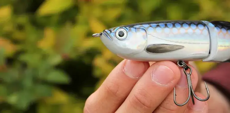 Zdjęcie Jaka plecionka na bolenia? Wybierz najlepszą do skutecznego łowienia