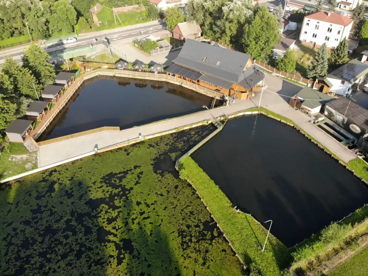 Zdjęcie Gdzie zjeść w Zwierzyńcu? Najlepsze restauracje i lokalne smaki