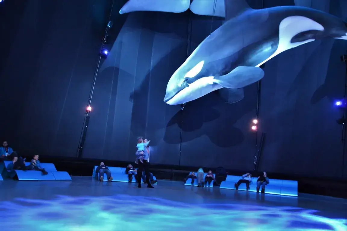 Zdjęcie Największe oceanarium w Niemczech: Ozeaneum w Stralsundzie i jego atrakcje