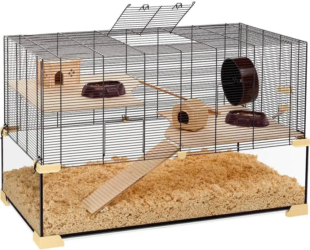 Zdjęcie Jaka klatka dla myszy będzie najlepsza? Poznaj wszystkie wymogi