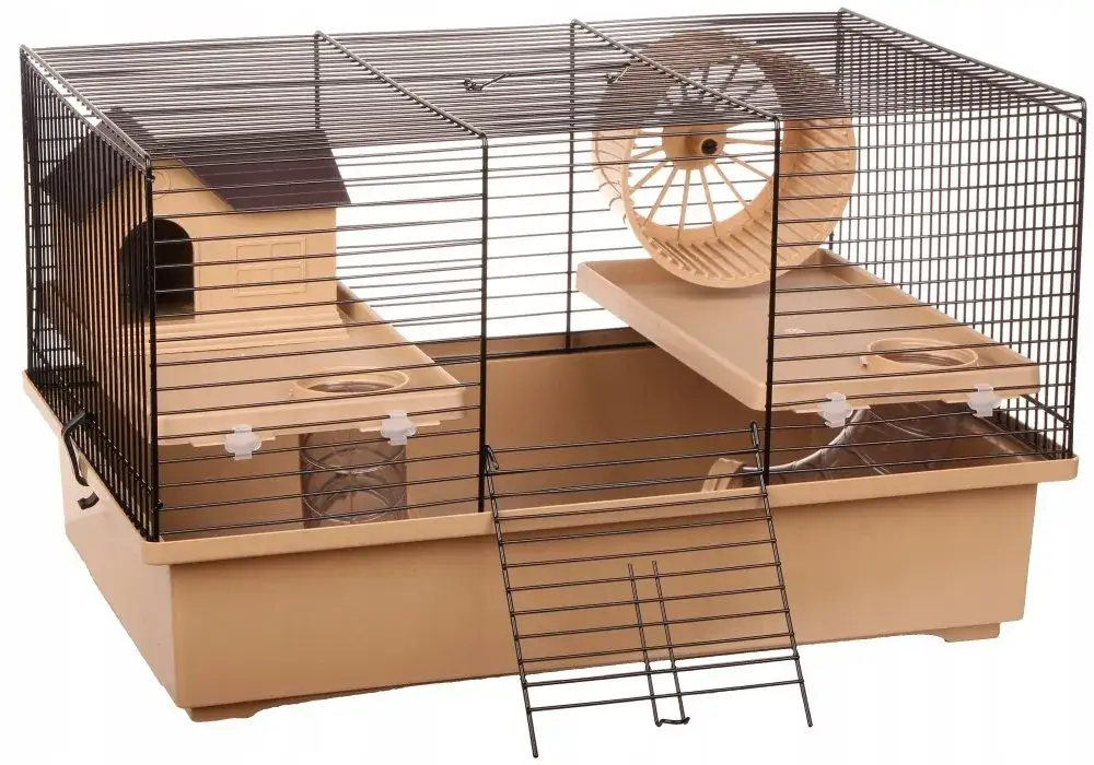 Zdjęcie Jaka klatka dla chomika będzie najlepsza: kompletny poradnik wyboru