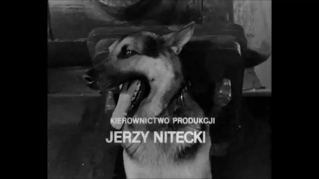 Zdjęcie Kto śpiewa piosenkę Ballada o pancernych z czterech pancernych?