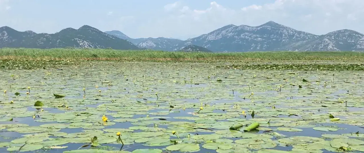 Zdjęcie Co zabrać na wakacje do Czarnogóry, aby uniknąć nieprzyjemności?