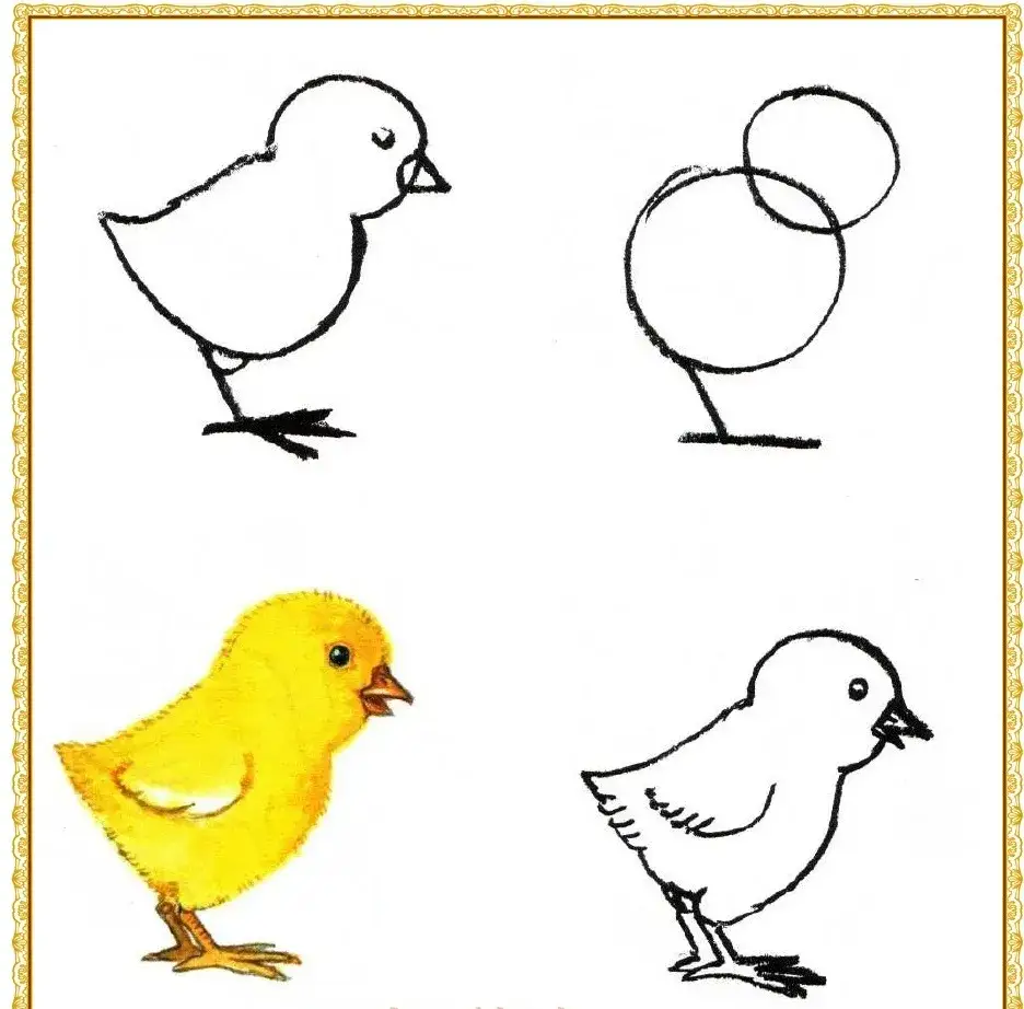 Zdjęcie Jak narysować kurczaka w jajku - proste kroki do udanego rysunku