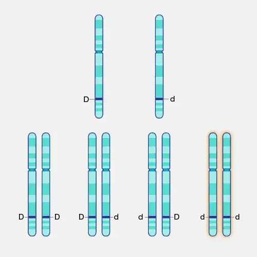 Zdjęcie Fibrosis quística: quién la descubrió y el impacto de su hallazgo