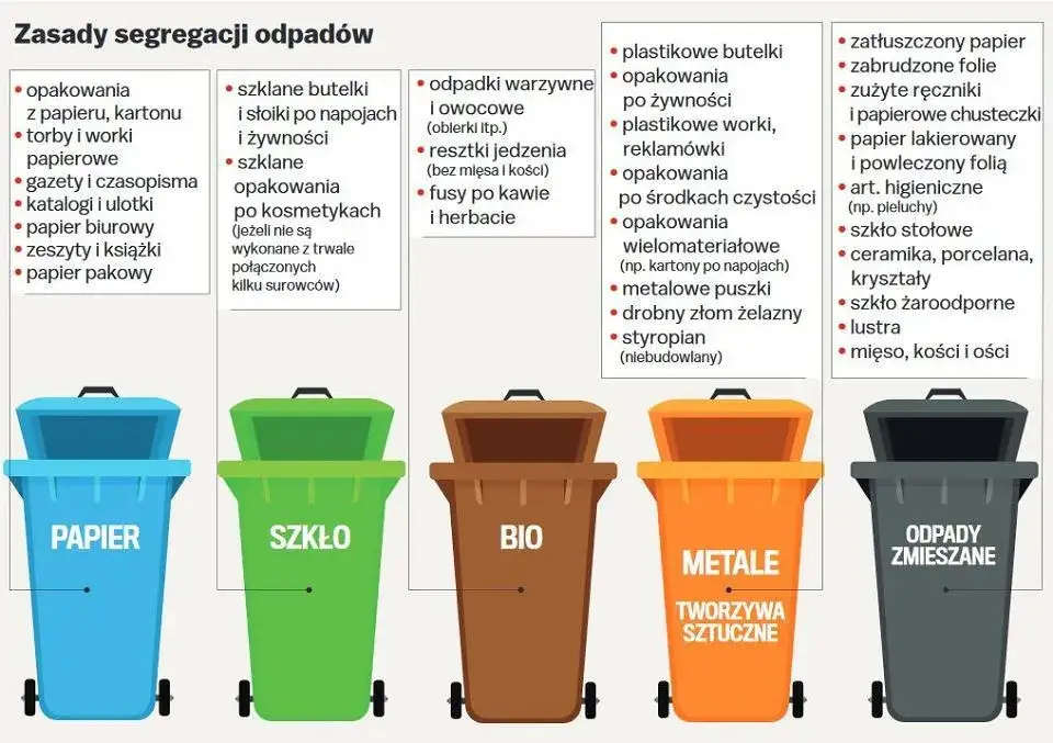 Zdjęcie Jak prawidłowo wyrzucić ogórki kiszone - segregacja odpadów