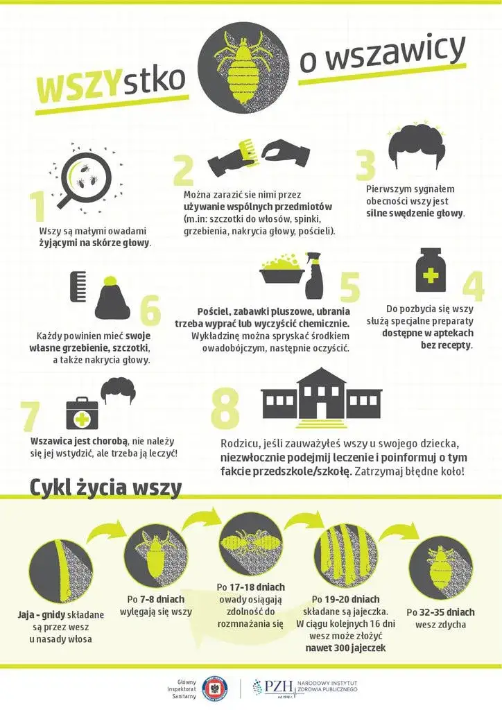 Zdjęcie Wszy kiedy do przedszkola - kiedy dziecko może wrócić po leczeniu?
