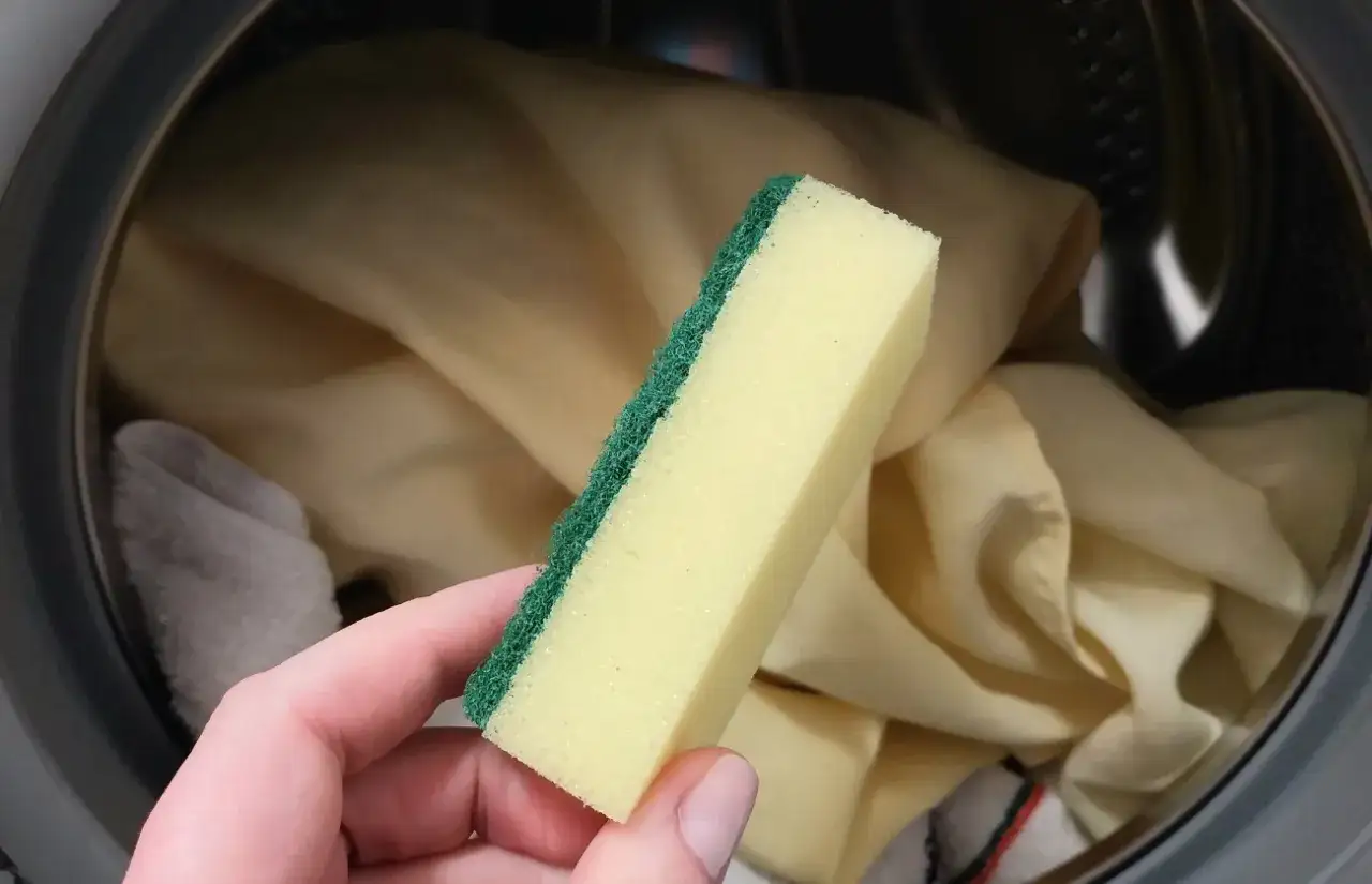 Zdjęcie Jak usunąć sierść podczas prania? Skuteczne metody, które działają