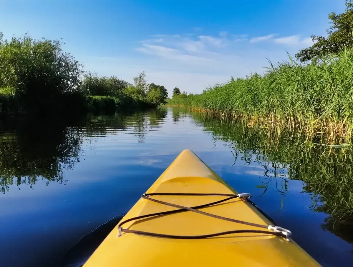 Zdjęcie Spływ kajakowy Piaśnica - idealna trasa dla rodzin z dziećmi