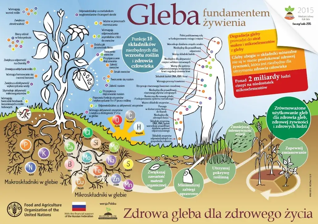 Zdjęcie Jakie znaczenie ma gleba dla człowieka i jak wpływa na nasze życie