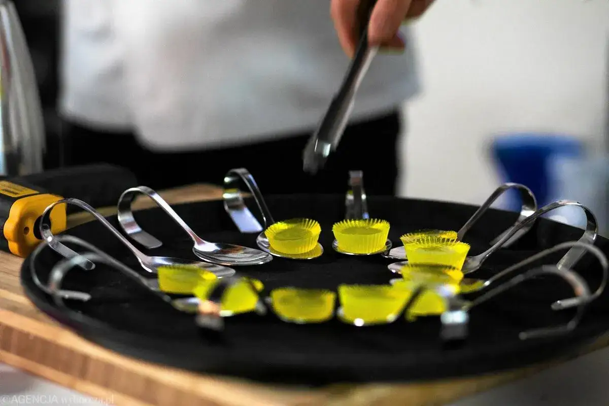 Zdjęcie Kuchnia molekularna w Krakowie: 3 najlepsze restauracje