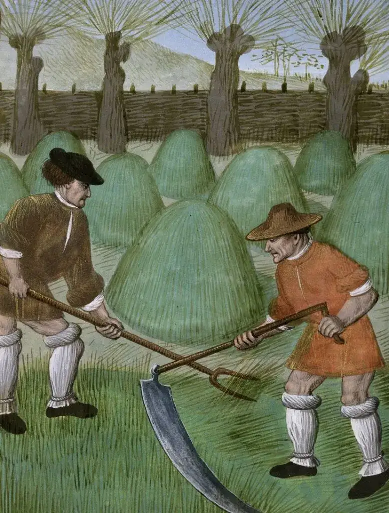 Zdjęcie Czym zajmowali się chłopi w średniowieczu? Praca, życie i obowiązki