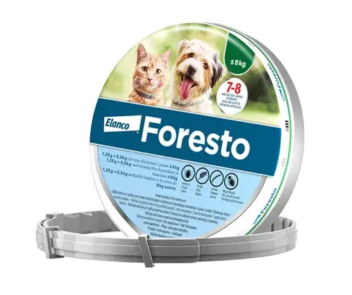 Zdjęcie Obroża Foresto od jakiego wieku - ważne informacje dla właścicieli zwierząt