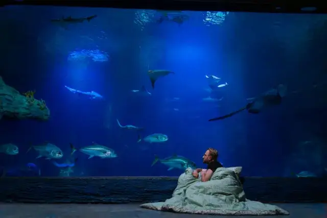 Zdjęcie Oceanarium: Odkryj fascynujący świat morskich stworzeń w Polsce