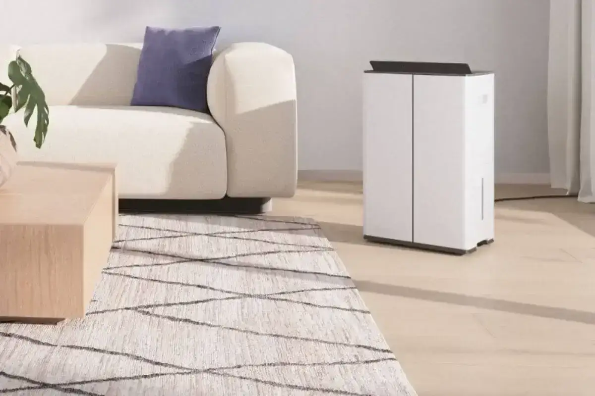 Zdjęcie Jak osuszyć mieszkanie domowym sposobem i uniknąć wilgoci na zawsze