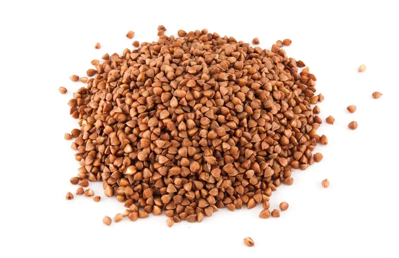 Zdjęcie Czy pies może jeść kaszę gryczaną? Sprawdź, co musisz wiedzieć