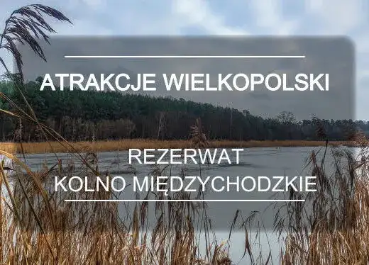 Zdjęcie Najlepsze atrakcje w Międzychodzie, które zaskoczą każdego turystę