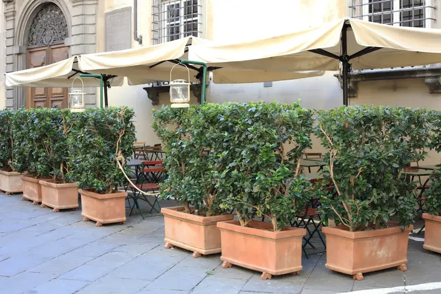 Zdjęcie Gdzie zjeść w Lukce? Najlepsze restauracje i lokalne specjały