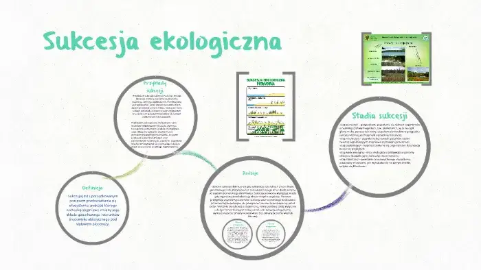 Zdjęcie Co to jest sukcesja w biologii? Zrozumienie procesów i rodzajów