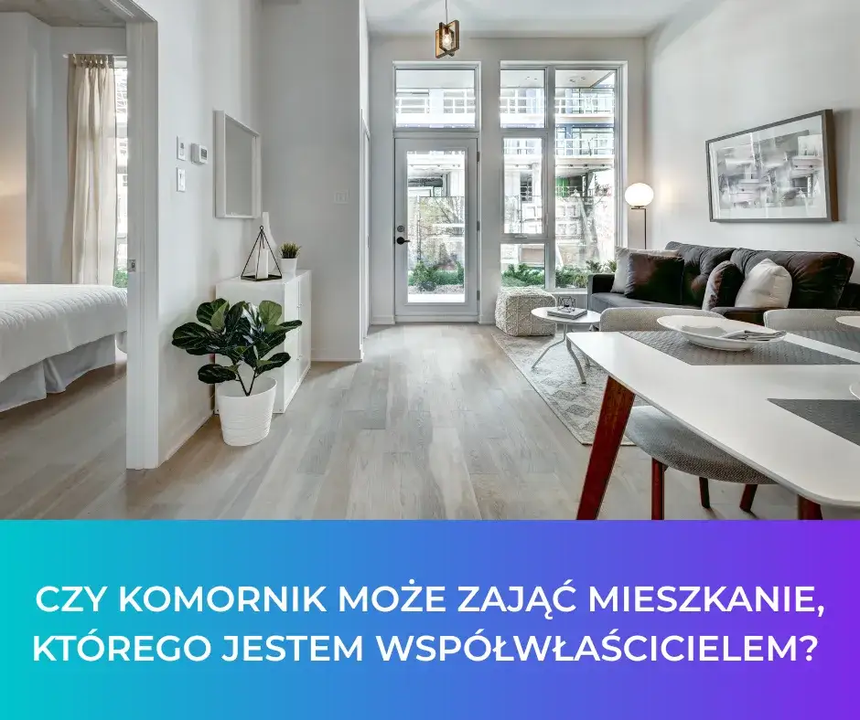 Zdjęcie Czy komornik może sprzedać połowę mieszkania? Prawa wsp&oacute;łwłaścicieli
