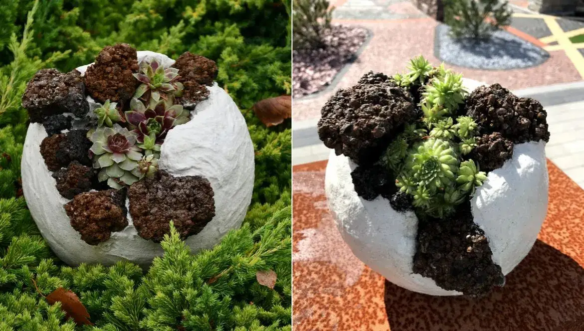 Zdjęcie Jak zrobić ozdoby z cementu do ogrodu – krok po kroku i najlepsze pomysły