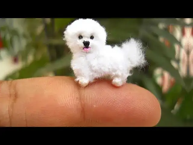 Zdjęcie El perro más pequeño del mundo: sorprendente historia de Pearl